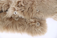 Dolce & Gabbana Beige Alpaca Collar Scarf - Size IT40-XS