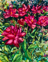 Pink Roses: Prints