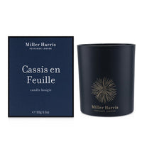 MILLER HARRIS - Candle - Cassis en Feuille