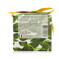 NESTI DANTE - Gli Officinali Soap - Ivy & Clove - Therapeutic & Relaxing